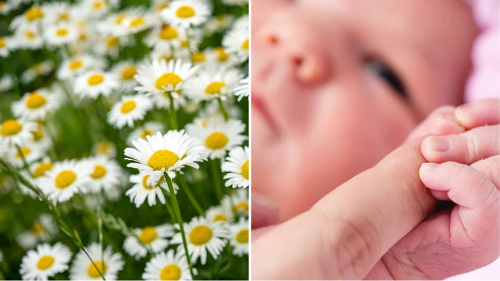 Baby names herself from womb, mom on TikTok insists: 'I'm sticking with it'